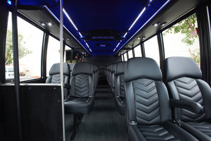 Mini Coach 23-33 passenger